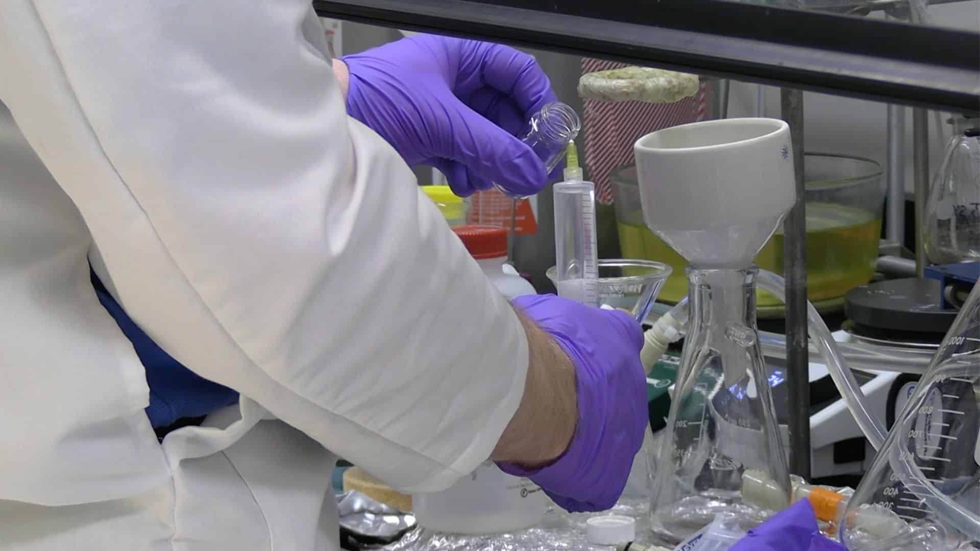 Design-Zyme-spotlight-header (1)