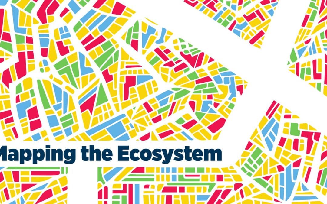 Mapping the entrepreneurial ecosystem: insights for founders
